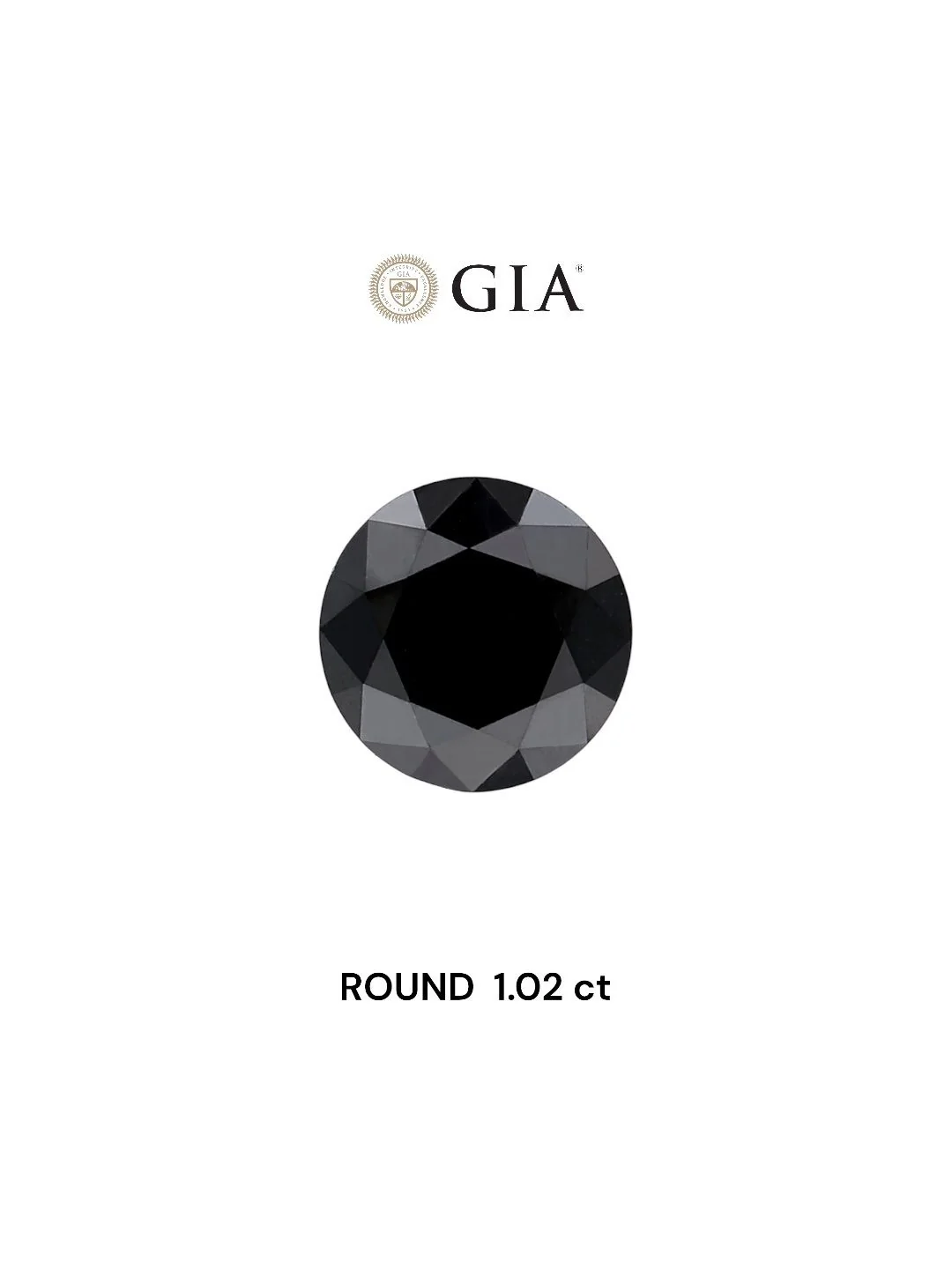 1.02ct Round Natural Diamond (Colour Fancy Black, Clarity VVS2, Cut EX, GIA Certified)